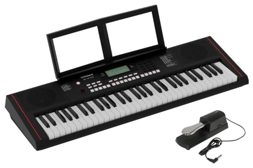 Roland/E-X10 [�_���p�[�E�y�_�� �Z�b�g�I] Arranger Keyboard (EX10)