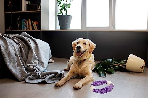 Crazy Tails Dog Chew Rope Toy For All Puppy Breeds Puppy Toys For Teething Small Dogs Braided Ring With Bones #TOP5