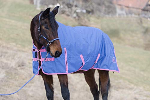 Winterdecke für Pferde Indira Winter Pro 400g Kälteschutz für extreme Bedingungen