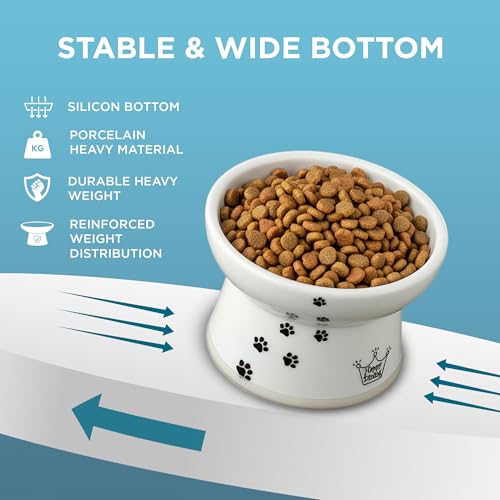 Necoichi Raised Cat Food Bowl – Ceramic Elevated Cat Bowl for Whisker & Neck Fatigue, Dishwasher Microwave Safe – Non-Slip & Anti Vomiting Ergonomic Design (Cats, Regular, 1-Cup Capacity) by 猫壱 - Image 8