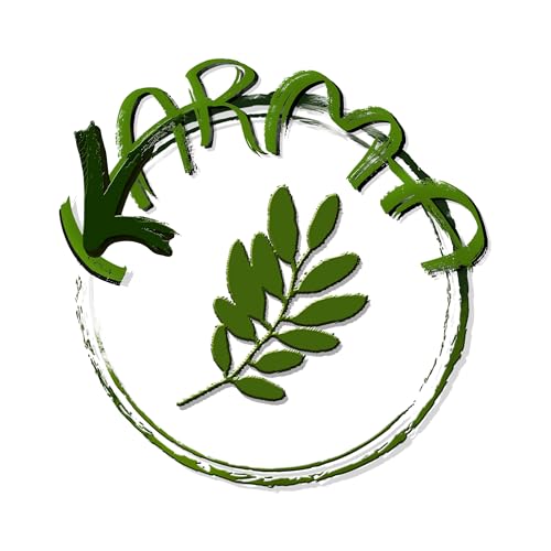 KARMA کارما copertina