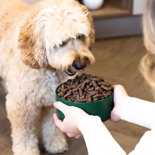 WOOOF Lamm & Reis 14kg kaltgepresstes, getreidefreies und hypoallergenes Hundefutter | Trockenfutter, leicht verdaulich, ohne Weizengluten