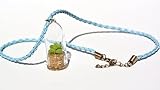 Live Succulent Terrarium Flower Necklace - Bubbly - Live Cacti Succulent Plant Necklace Keychain- Li