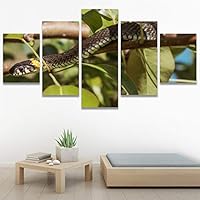 SIGNWIN 5 Panel Canvas Wall Art Modern Art Chic Expressive Frog Multicolor Photography Reptiles Snakes for Home Decorations Ready to Hang - 60