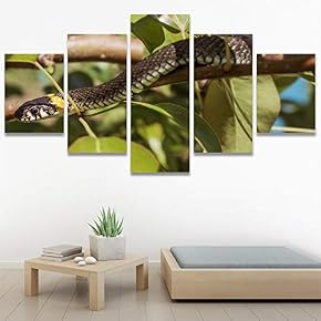 SIGNWIN 5 Panel Canvas Wall Art Modern Art...