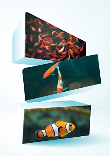 Aqupon Koi Pond Filter Media Pad - Cut To Fit Roll (Dye-Free/Blue Bonded) - 1.25 Inch Thickness (6 Ft, Blue) #TOP4