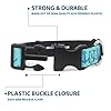 Buckle-Down Pet Collar, Dog Collar Plastic Buckle, Anchor Close Up Turquoise Blues, 16 to 23 Inches 1.5 Inch Wide #3