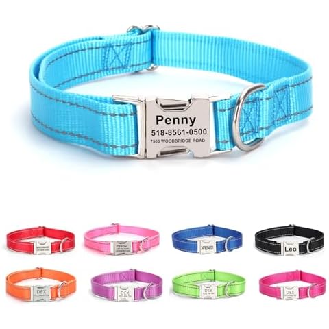 Personalized Dog Collar with Name Tag,Reflective Nylon Pet Collar,Custom Engraved Buckle Dog Collars,Adjustable Pet Collar for Dogs,Christmas Dog Gift (Sky Blue) Cover
