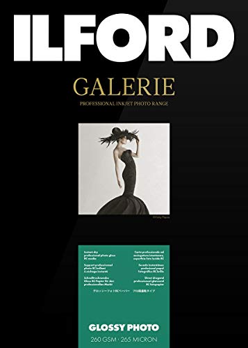 Amazon.co.jp: Ilford Galerie Prestige明るさ – フォト用紙、260 g A3