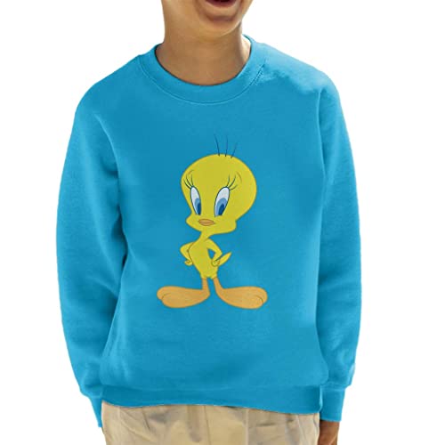 All+Every Looney Tunes Tweety Pie Kid's Sweatshirt Sapphire