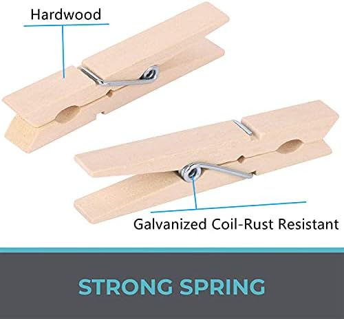100pcs Hardwood Clothes Pegs Heavy Duty Spring Wooden Laundry Pegs for Clothes Pictures Hanging