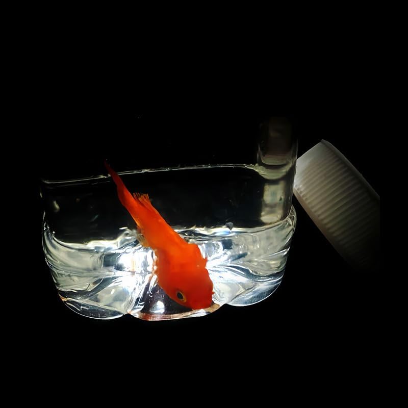SUMAG Ultimate Fish in A Bottle Magic Trick: Goldfish Appearing in Water Bottle Close Up Stage Illusions Gimmicks Mental Props for Kids