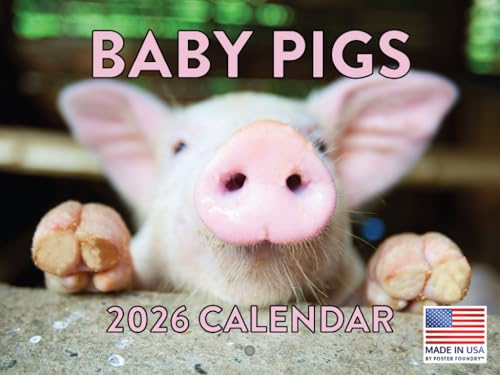 Baby Pig Calendar 2026 Wall 12 Month Piglet Gifts For Pigs Lovers Women Men Monthly Calender | American Made In The USA