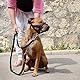 ILEPARK Weicher Hundemaulkorb aus Nylon für Hunde verhindert Anti-Beißen, Bellen und Kauen, verstellbare Schlaufe (M, Schwarz)