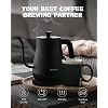 Electric Gooseneck Kettle Black and Green Boudle Set