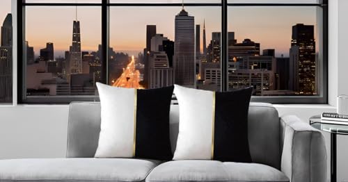 Image of HIMS Velvet Sofa Pillow Cover Set of 2, Luxury Cushion Cover 16 inch x 16 inch for Decorative Living Room Sofa Bedroom Car (16x16 Inch, Black)