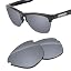 Silver Metallic - Max Polarized