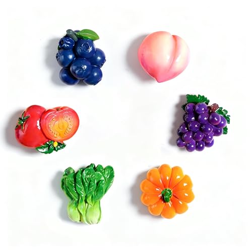 6 imanes decorativos para refrigerador de resina