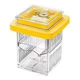 MotiveTech Floating Isolation Box for Fish Breeding Adjustable Clear Frame Fishtank Breeder, Yellow