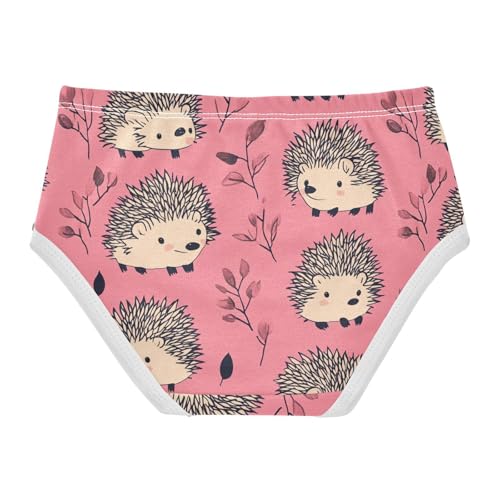 Wusikd Cute Hedgehogs Girls' Underwear Cotton Pink Girls Briefs Soft Toddler Underwear 2T2