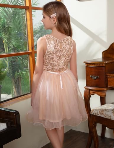 Girls Polka Dots Tutu Dress Sleeveless Flower Girl Dress Layered Tulle Princess Birthday Party Summer Sundress3