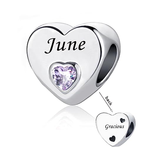 DWJSu June Birthstone Compatible with Pandora Charms for Charm Bracelet Necklace Heart Crystal Birthday Love Family Bead for Women Sister