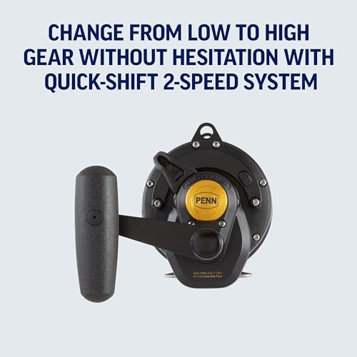 PENN 1292938 Squall Lever Drag 2-Speed Trolling Fishing Reel, 890/50, black, IGFA50, SQL50VSW by PENN - Image 5