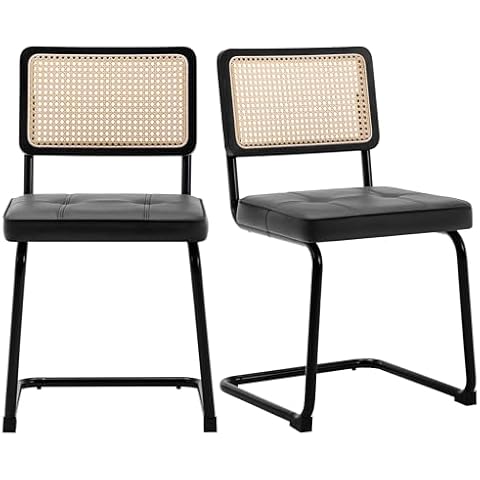 FOREDO Rattan Dining Chairs Set of 2 Cover
