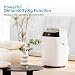 Leises 4-in-1 Mobiles Klimagerät 12000 BTU | Kühlen/Ventilieren/Entfeuch... | Für Räume Bis 43–51㎡ Abluftschlauch+Digitaldispl...