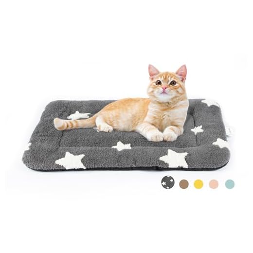 Mora Pets Cat Bed for Indoor Cats Washable Dog Crate Pad Cute Star Dog Bed Mat for Small Dogs Pet Kennel Pad for Cage Soft Flat Puppy Kitten Cushion Sleeping Anti-Slip Grey 22 x 13