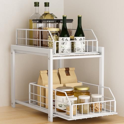 LENSKINS Lb`[ VN[ XChbN 2i ot e ʏ[ X  萫 10KG܂őΉ (zCg)