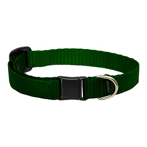 LupinePet Basics 1/2