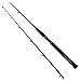 Daiwa BFSF1202HRB Beefstick Surf CastRod, 12-Feet, 2-Piece, Heavy, 20-40-Pounds