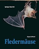Fledermäuse - Jürgen Gebhard 