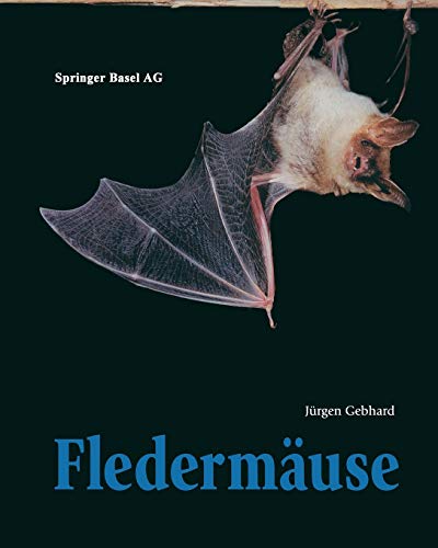 Fledermäuse Fledermäuse