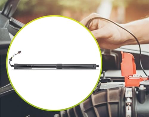 Support de levage hayon électrique 89A827851A résout coffre bloqué Q4 E-tron - 3