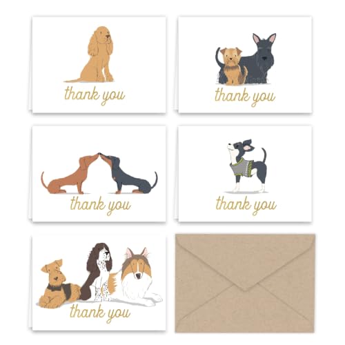 Paper Frenzy Dogs Puppies Thank You Note Card Collection 25 pack with Kraft Envelopes