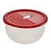 Produktbild keeeper Micro-Clip 4 l, Polypropylen, Deep Red Transparent