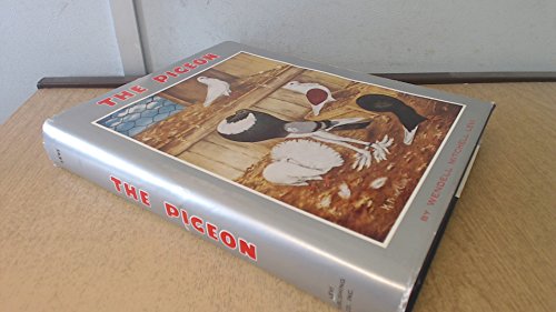 Pigeon