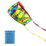 WUSJCOF 1 Pezzo Aquilone Portatile Arcobaleno con Lunghe Code Colorate, Aquilone Monofilo per Giochi e Attività all