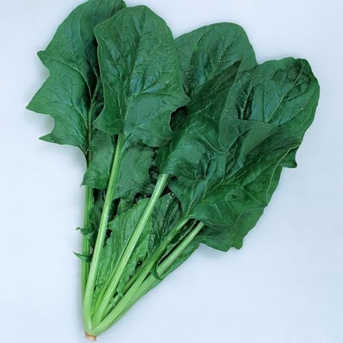 晩抽サンホープ