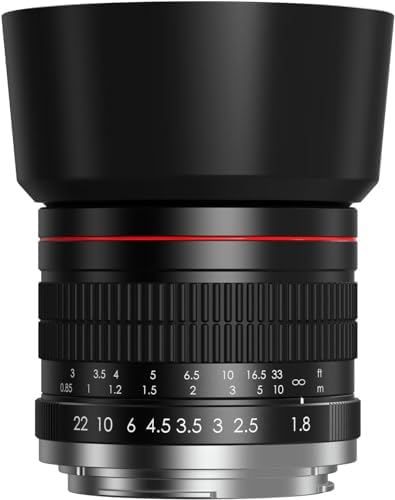 Lightdow for Canon EFレンズ 85mm F1.8 大口径レンズ単焦点 中望遠レンズ for Canon EOS...