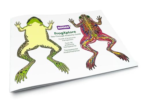 Roylco FrogXplore See-Through Frog Anatomy Kit | 8 Transparent Layers | No-Dissection Biology Kit for Kids Ages 5+ | STEM Science for Classroom & Homeschool | Made in USA - Image 4