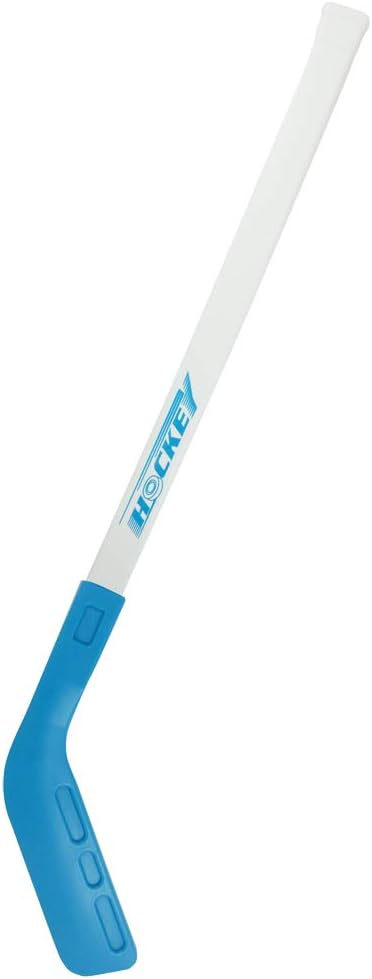 Metal Dragon 77th 2 PCS 28" Heavy-Duty Plastic Hockey Sticks Starter Set with 2 Puck for Train Sport Game : Sports & Outdoors