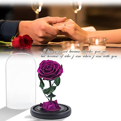 Duhouse Preserved Real Rose Forever Flowers In Glass Dome Eternal Enchanted Rose Box Gift For Her Valentines Mother's Day Birthday Anniversary Thanksgiving Christmas (Purple) #TOP1