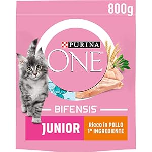 PURINA ONE Bifensis Junior - Crocchette per Gatti Cuccioli con Pollo e Cereali Integrali - 8 Sacchi da 800g
 - immagine 2