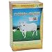 Patanjali Cow's Pure Butter (Desi Ghee), 1 Ltr