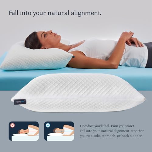 DreamyBlue Signature Pillow