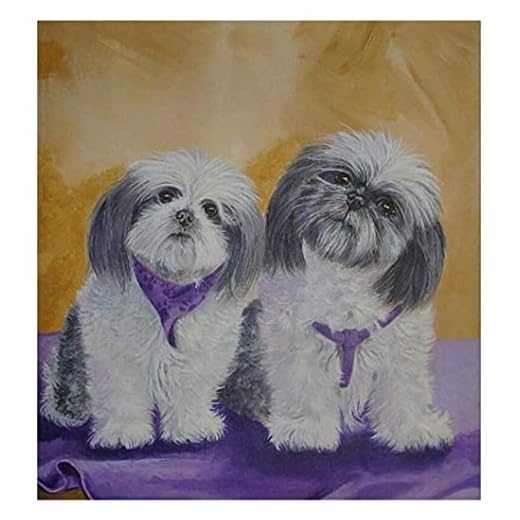 Måla Efter Nummer För Vuxna _ Shih Tzu Lhasa Apso Hunddjur _ Gör-Det-Själv-Målning Med Nummer, _ Måla Efter Nummer-Kit _ 40X50Cm _