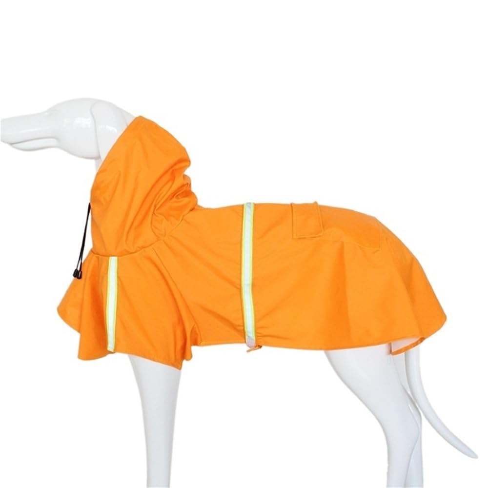 Manteau imperméable pour grand chien style chiot pour randonner en forêt